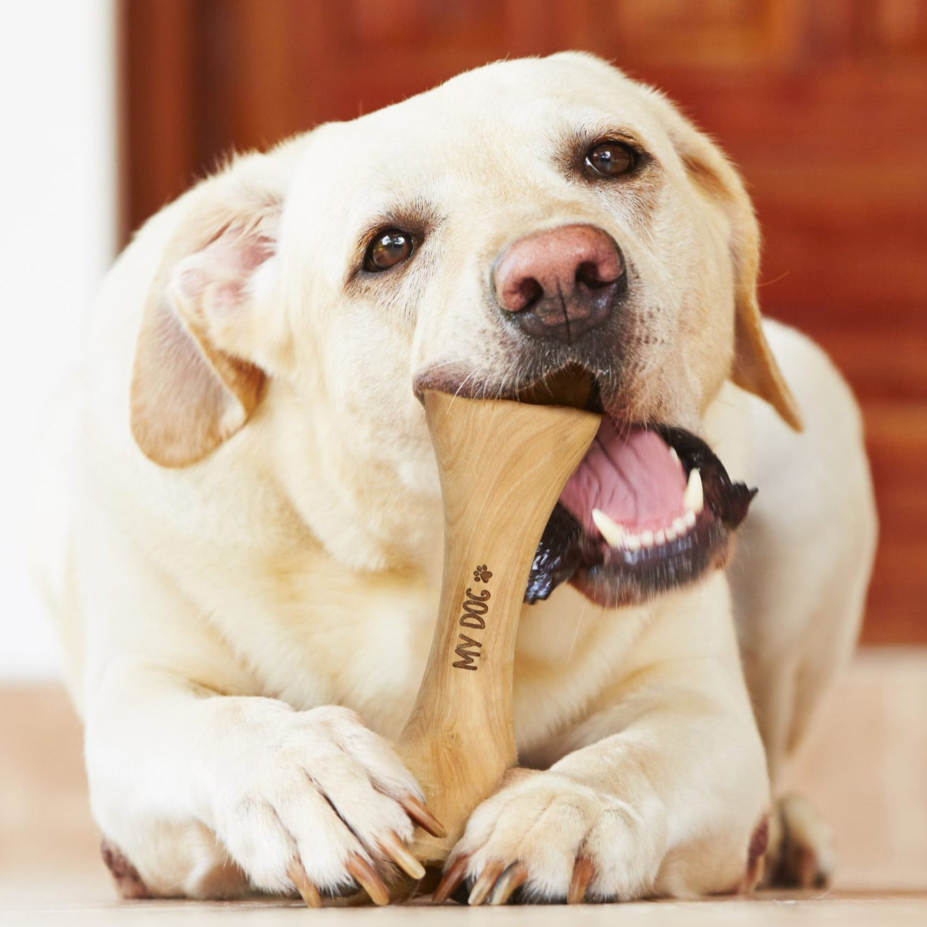 Handmade Olive Wood Dog Bone - ArtisRaw