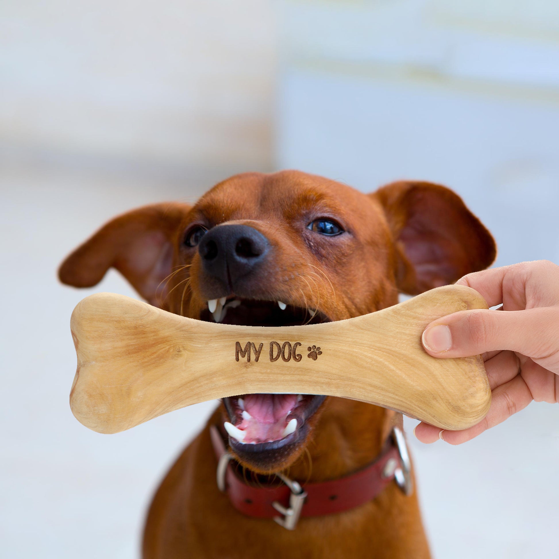 Handmade Olive Wood Dog Bone - ArtisRaw