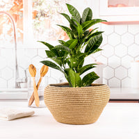 Handwoven Plant Basket made from North African Esparto Grass - ArtisRaw